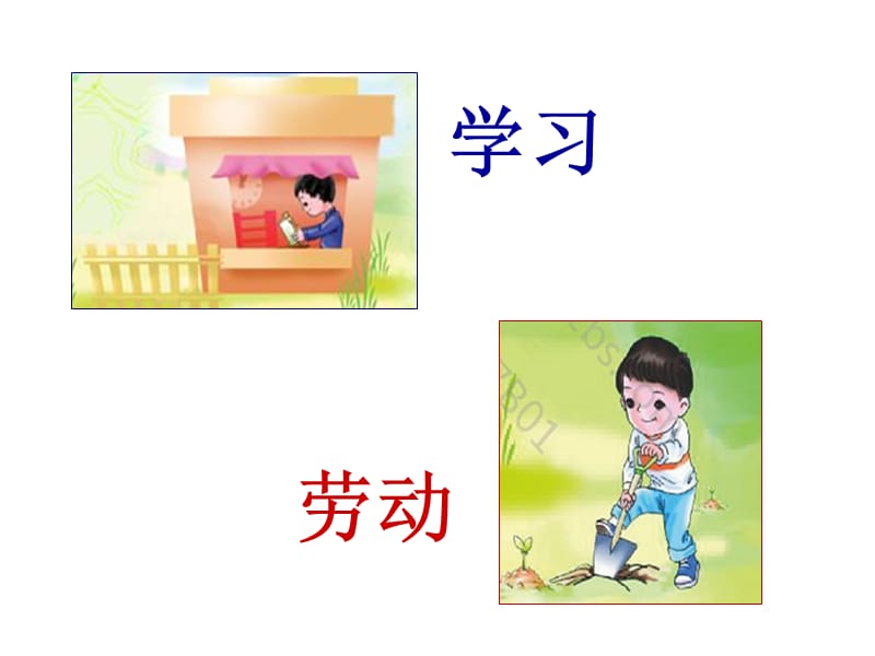 观察人体识汉字.ppt.ppt_第2页