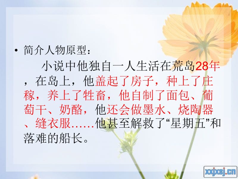 鲁滨逊漂流记.ppt_第2页