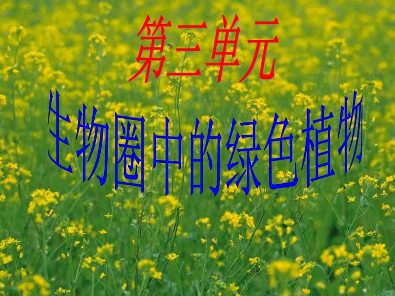 藻类苔藓与蕨类植物.ppt_第1页