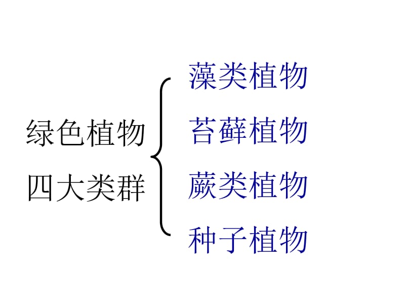 藻类苔藓与蕨类植物.ppt_第3页