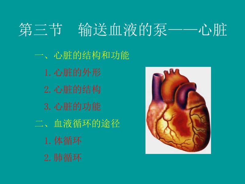 输送血液的泵--心脏.ppt_第1页