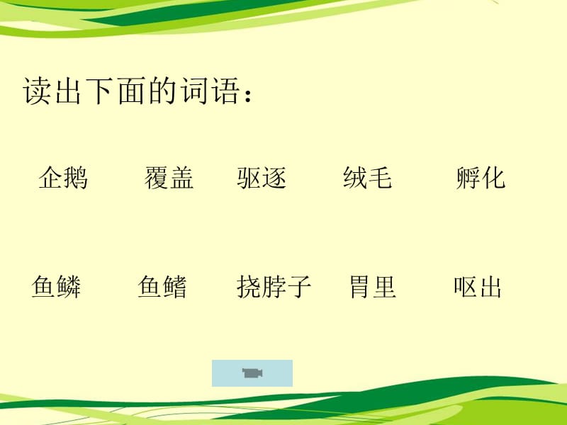 14、我和企鹅教学课件.ppt_第2页