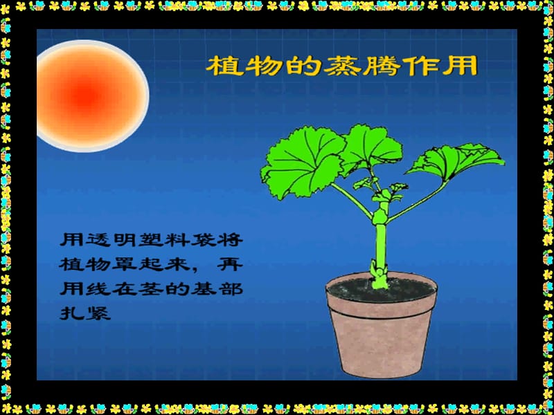 七年级生物第三单元第三章第三节绿色植物参与生物圈的水循环1课件人教版.ppt_第3页