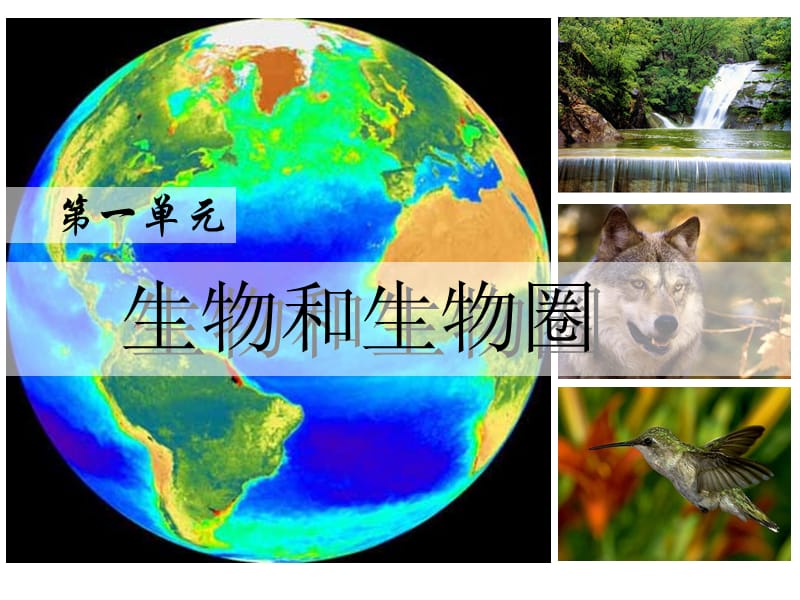 七年级生物上册第一节生物圈课件人教新课标版.ppt_第1页