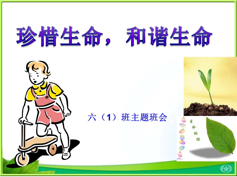 《珍惜生命,和谐生命》主题班会.ppt_第1页