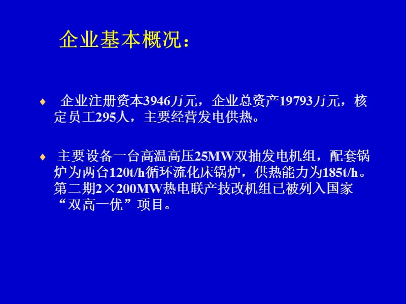 PPT-某电厂能源审计案例.ppt_第2页