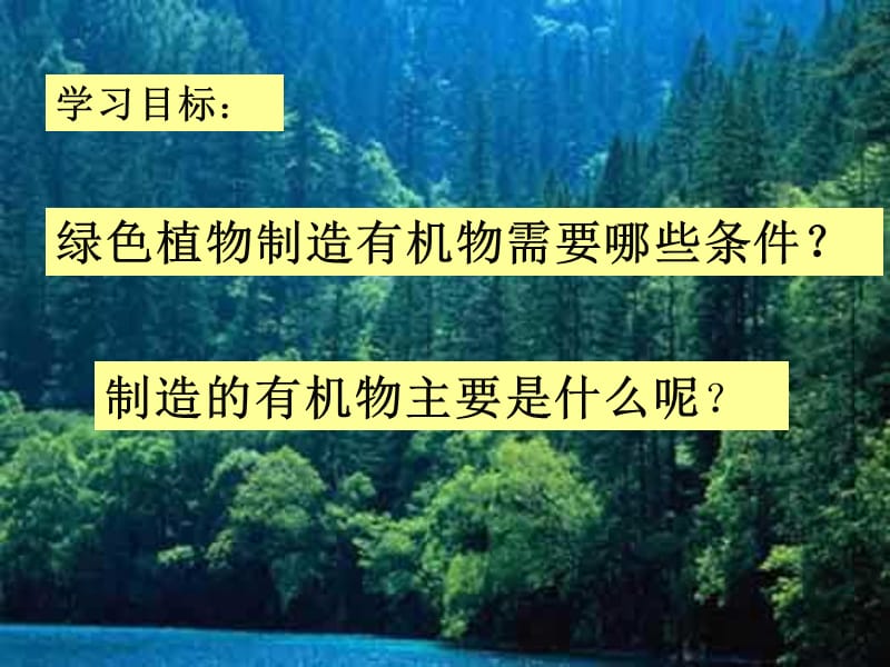 七年级生物上册第一节《绿色植物通过光合作用制造有机物》课件新人教版.ppt_第3页