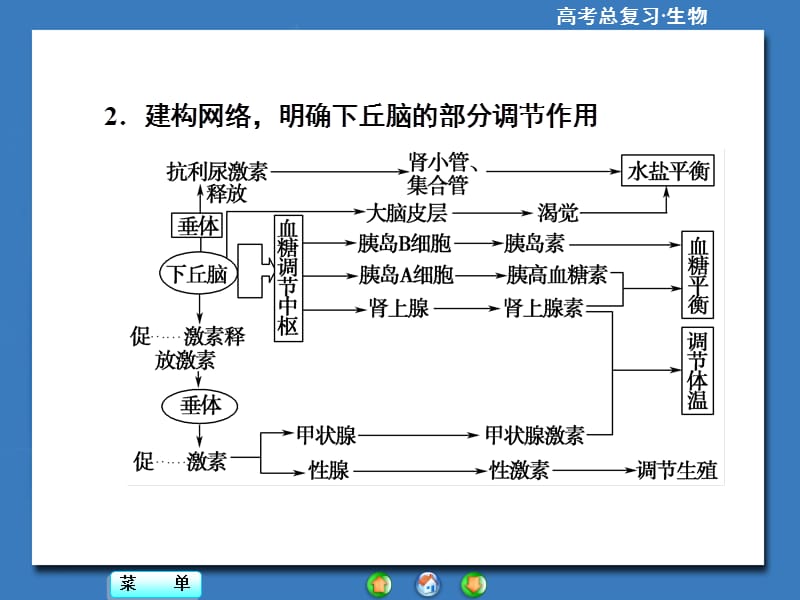 【高考总动员】2016届高三生物一轮复习：名师讲堂6.ppt_第3页