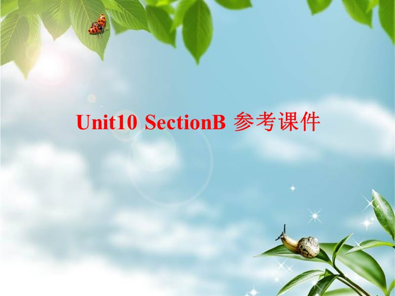 Unit10SectionB参考课件.ppt_第1页