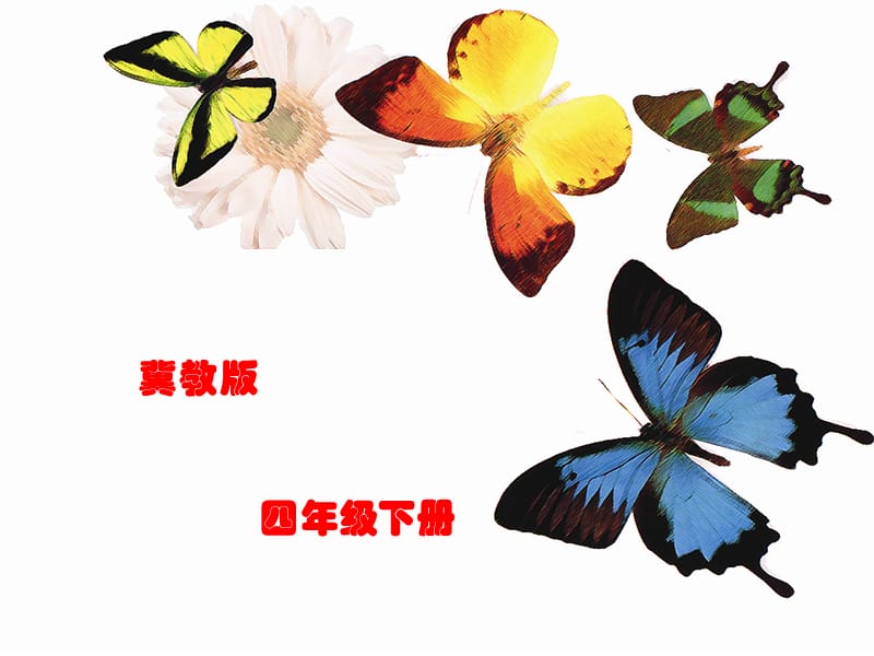 24.蝴蝶的家教学课件1.ppt_第1页