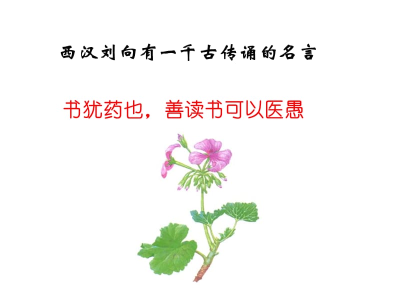 2008年高考生物试题及参考答案(上海卷).ppt_第1页