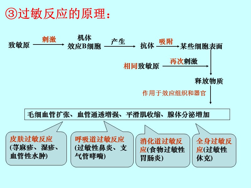 《免疫系统的功能异常》课件.ppt_第3页