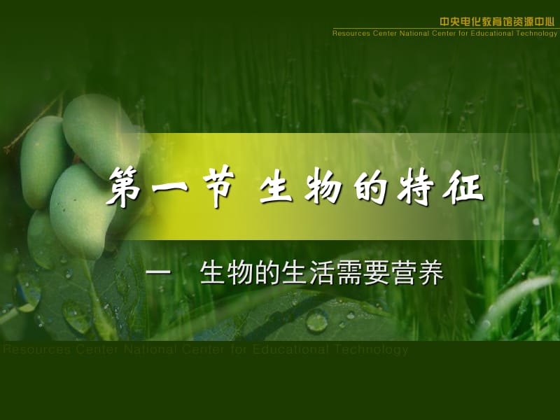 七年级第一单元第一节《生物的特征》课件.ppt_第1页