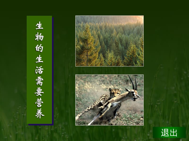 七年级第一单元第一节《生物的特征》课件.ppt_第2页