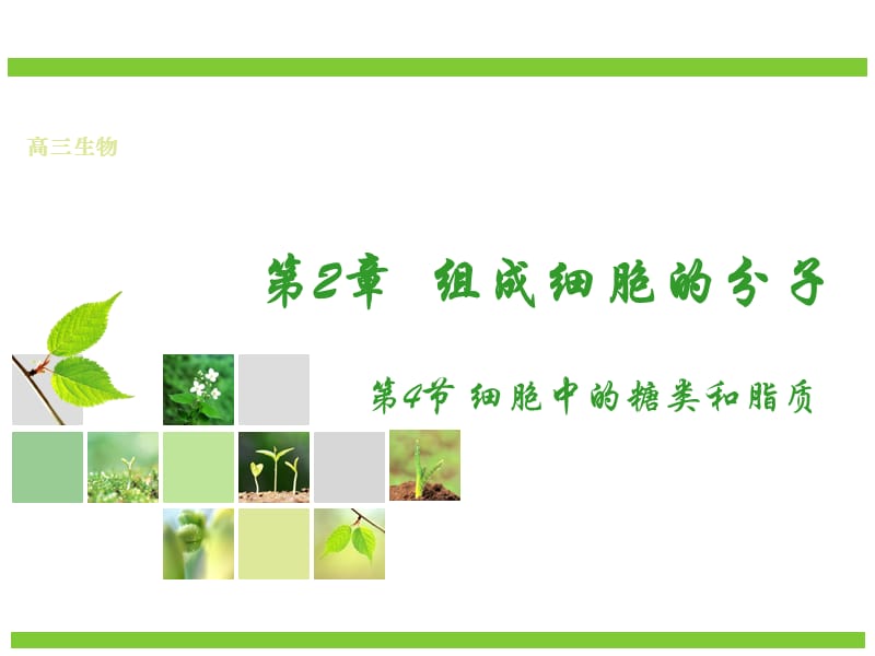 高中生物必修一课件.ppt_第1页