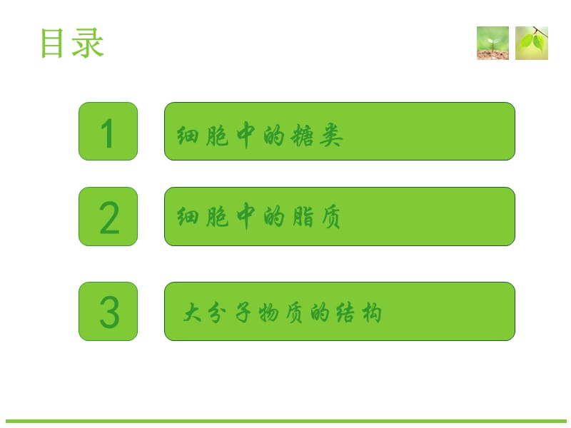 高中生物必修一课件.ppt_第3页