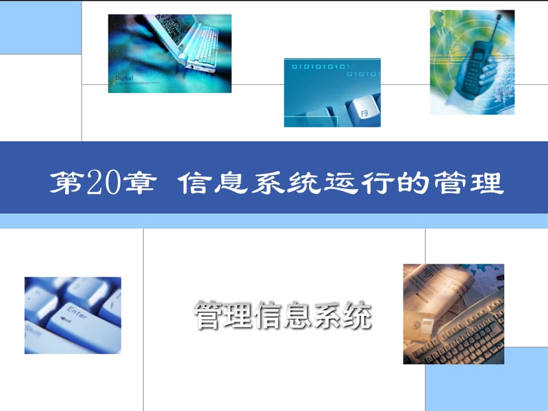 第20章信息系统运行的管理.ppt_第2页