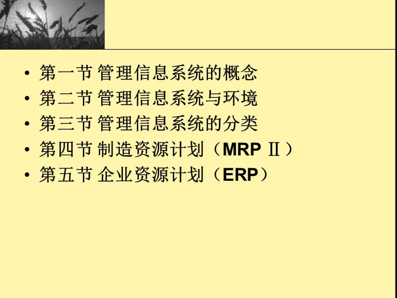 二章管理信息系统概述.ppt_第2页