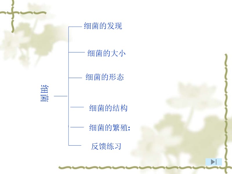 六年级《科学》上册-第一单元-第2课-细菌.ppt_第2页