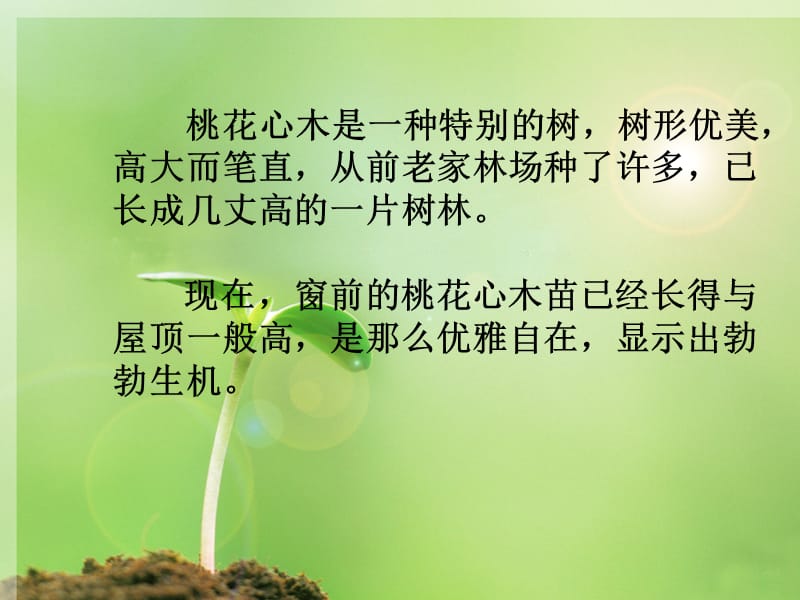 方里中心小学寇润利.ppt_第3页