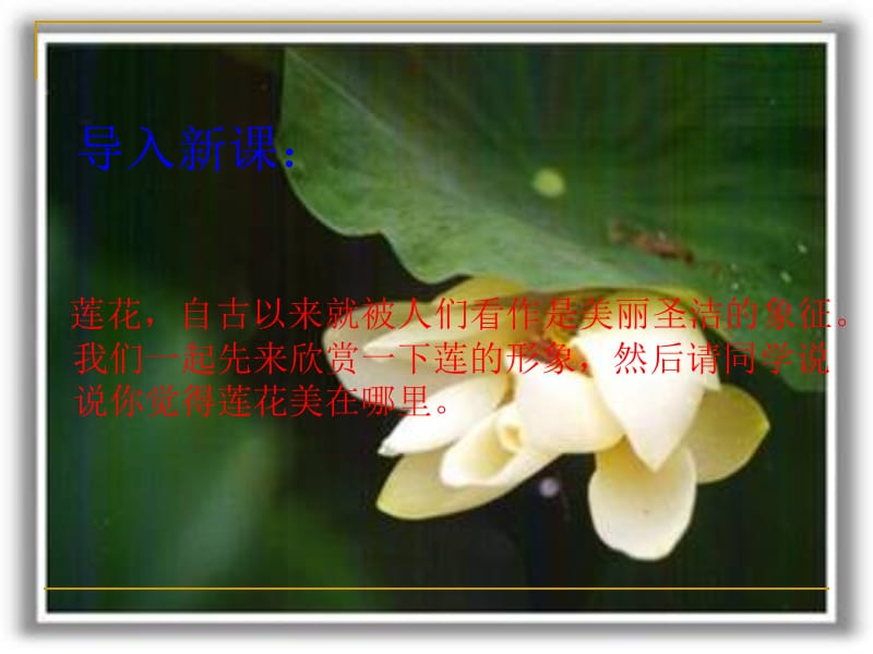 北师大版《爱莲说》课件.ppt_第1页