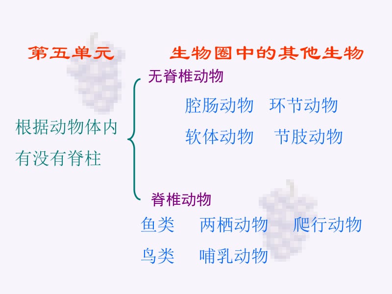 八年级生物上册总复习课件人教版.ppt_第1页