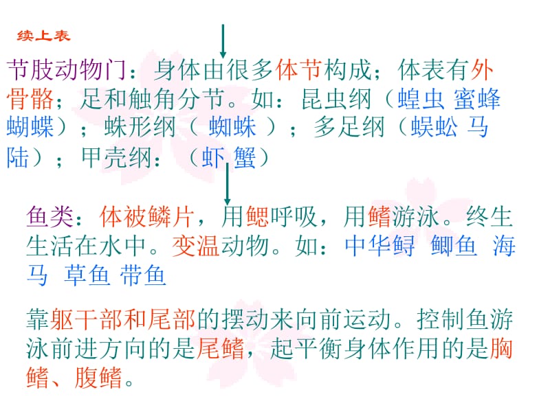 八年级生物上册总复习课件人教版.ppt_第3页