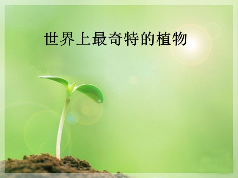 世界上最奇特的植物.ppt_第1页