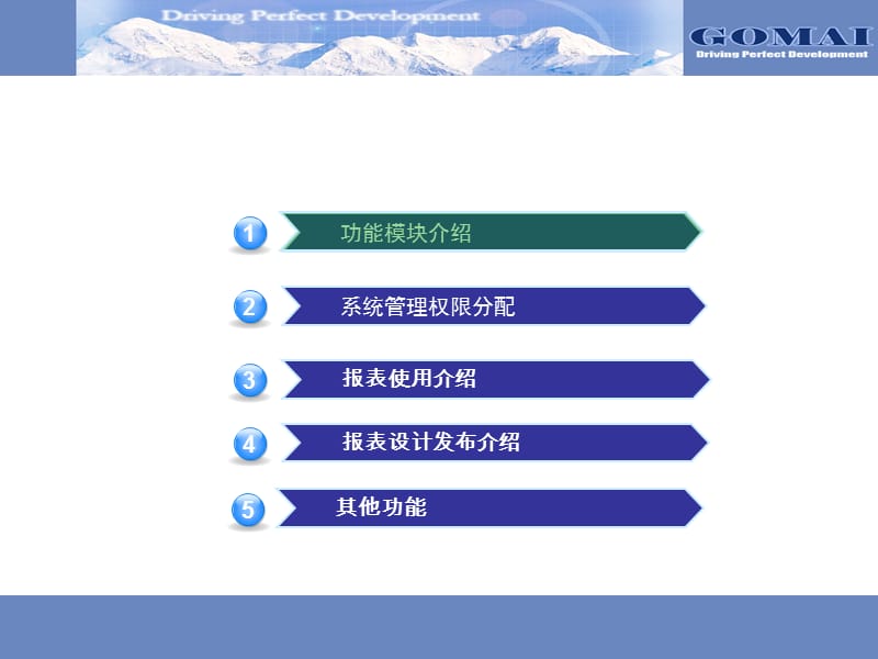 高迈报表管理平台培训.ppt_第2页