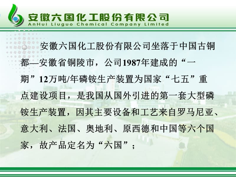 动态考核激发活力六国化工内审员管理模式介绍.ppt_第2页