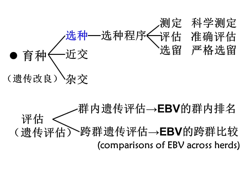 大型猪人工授精中心与育种值跨群比较.ppt_第3页