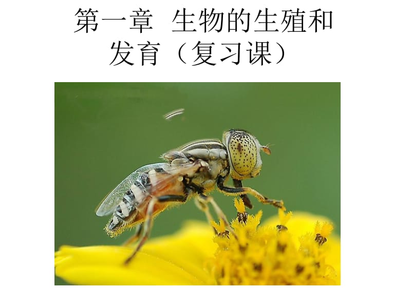 八年级下册第一章复习.ppt生物.ppt_第1页