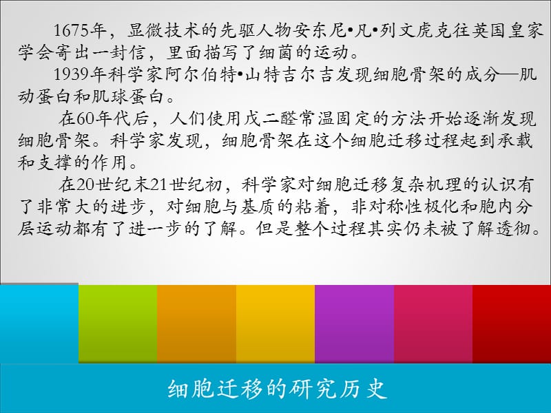 白细胞迁移(大学本科学生课件).ppt_第3页