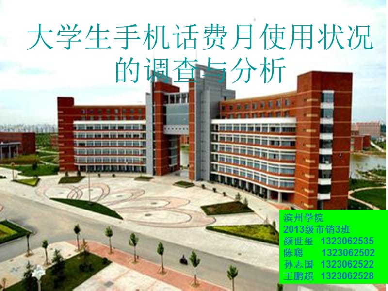 大学生手机话费月使用状况的调查与分析PPT展示.ppt_第1页