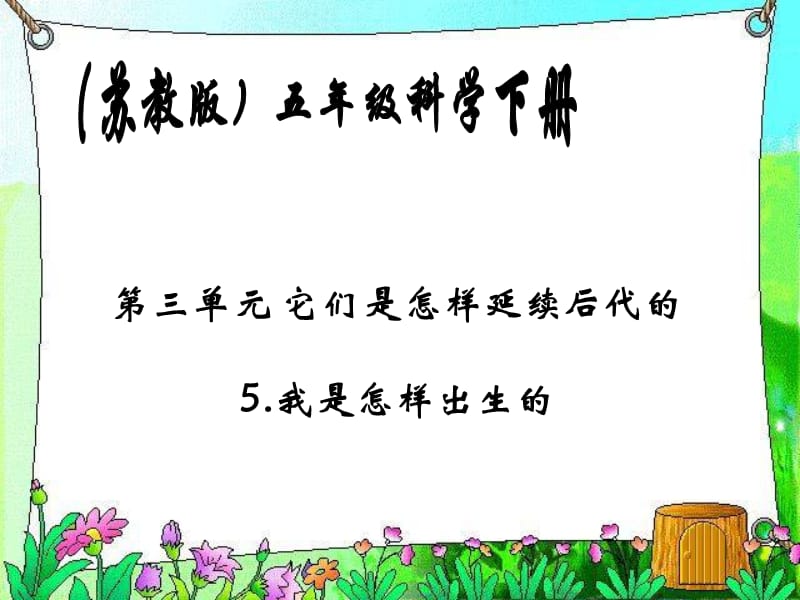 我是怎样出生的课件.ppt_第1页