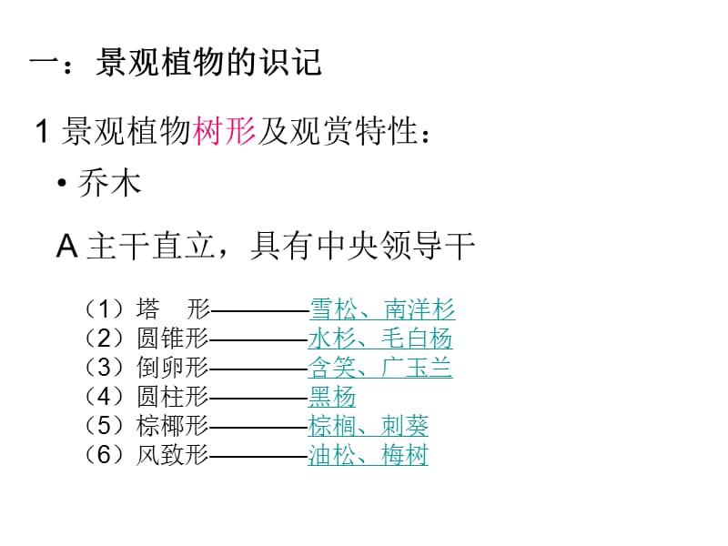 2B景观植物——识记方法.ppt_第2页