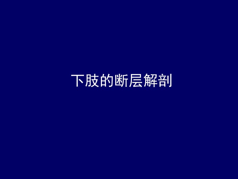 下肢的断层解剖人体断层解剖学.ppt_第1页