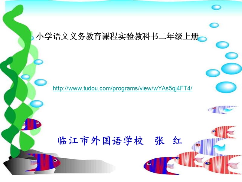 浅水洼的小鱼张红.ppt_第3页