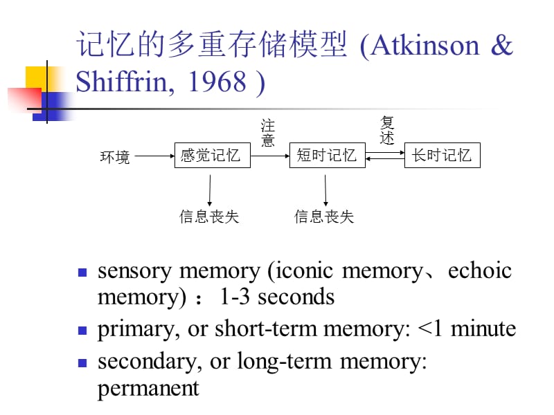 07工作记忆与记忆系统.ppt_第3页