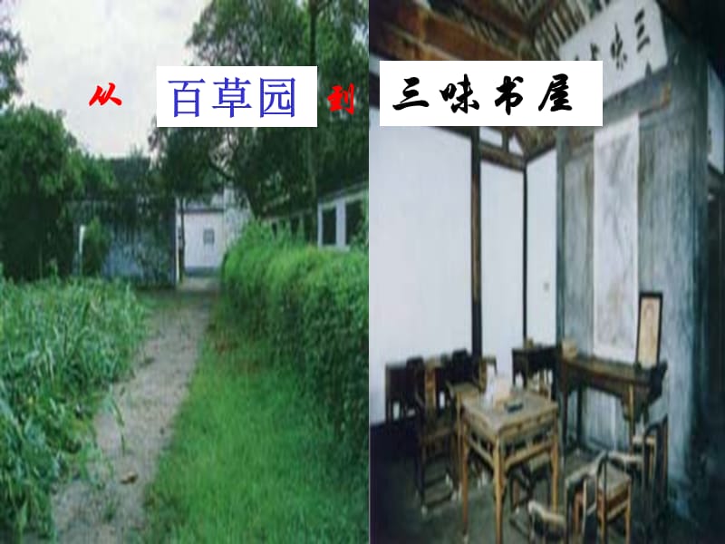 王宇博公开课《从百草园到三味书屋》.ppt_第3页