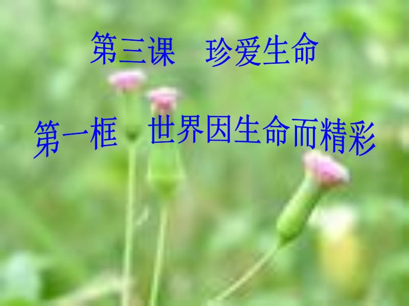 思想品德：第三课《珍爱生命》课件1(人教新课标七年级上).ppt_第1页