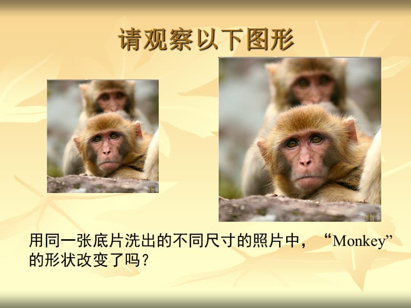 形状相同的图形(甸二中).ppt_第3页