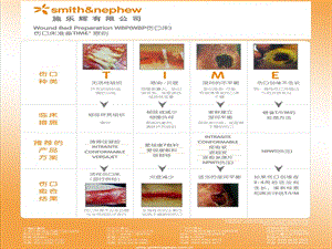 施乐辉伤口产品全线介绍.ppt