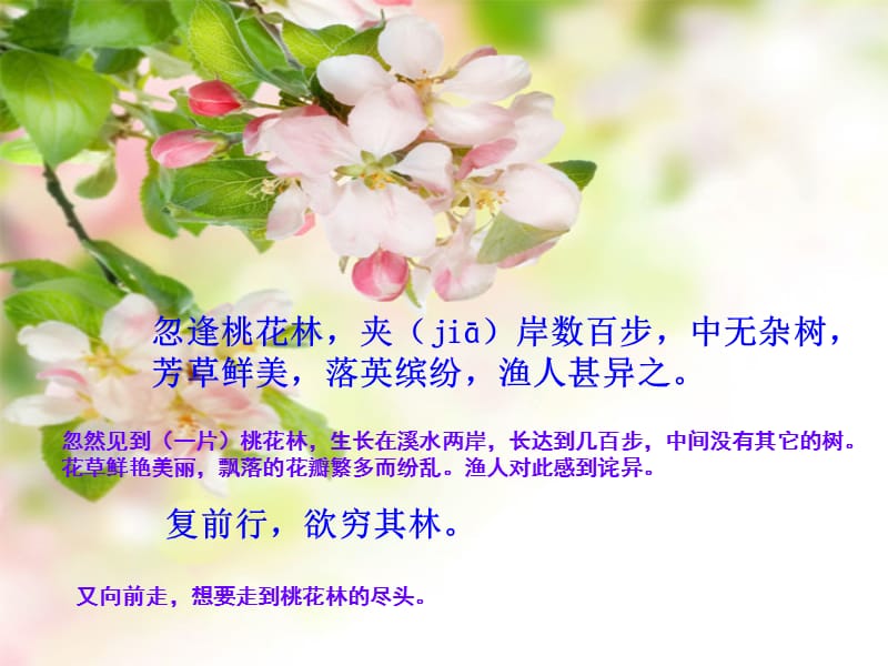 桃花源记课文翻译.ppt_第3页