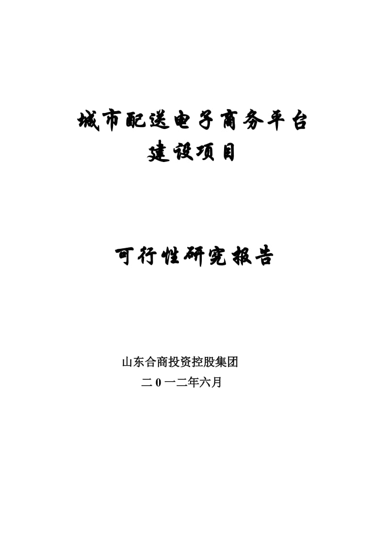 城市配送电子商务平台项目可行研究报告.doc_第1页