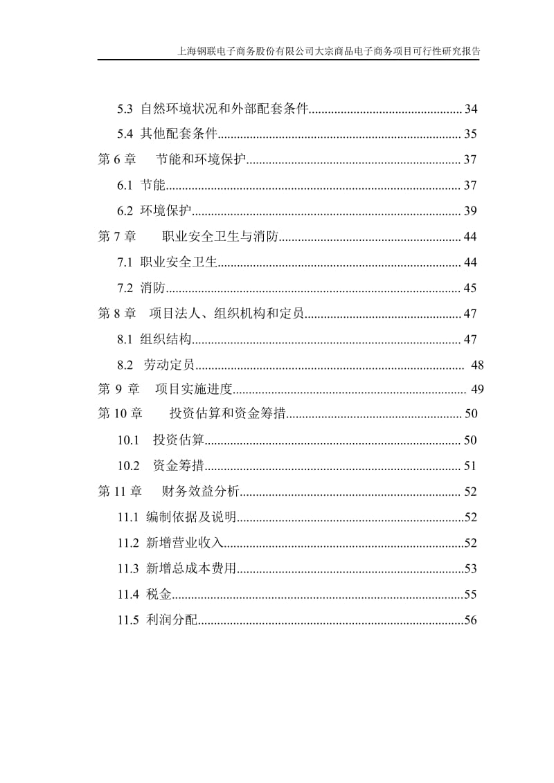 大宗商品电子商务建设项目可行研究报告.doc_第3页