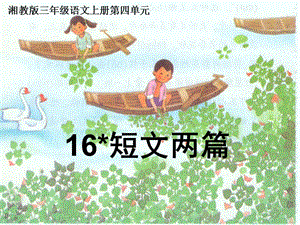 湘教版小学三年级16短文两篇ppt课件.ppt