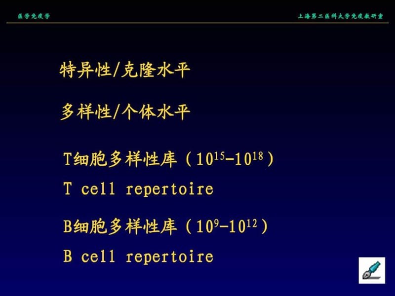 上海交通大学精品课程《医学免疫学》课件PPT：09 抗原受体基因及多样性.ppt_第2页