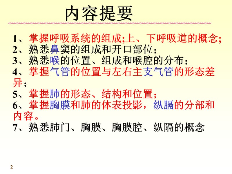 系统解剖学呼吸系统.ppt_第2页