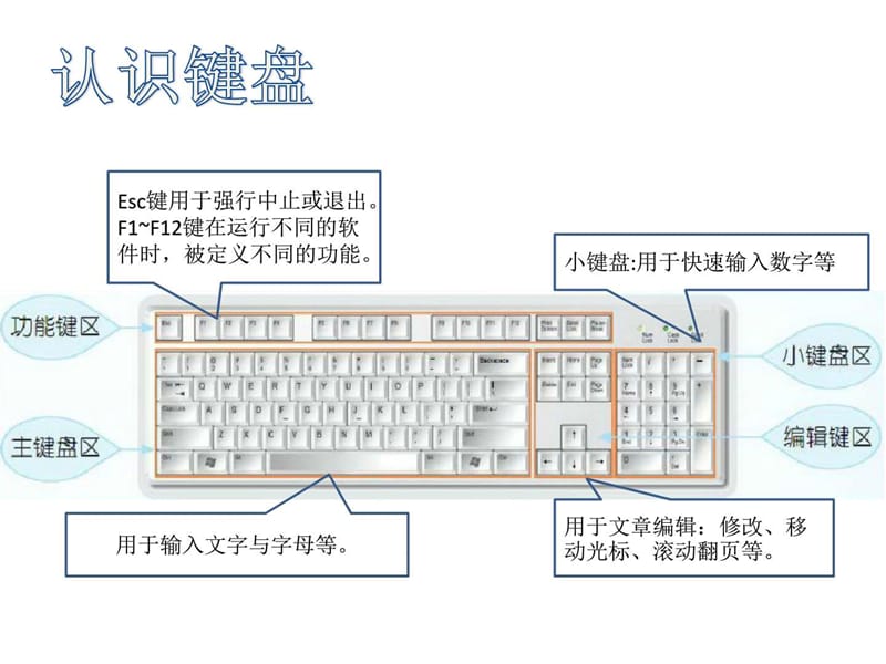 三年级下册信息技术课件- 3 键盘一家浙江摄影版(新).ppt_第2页